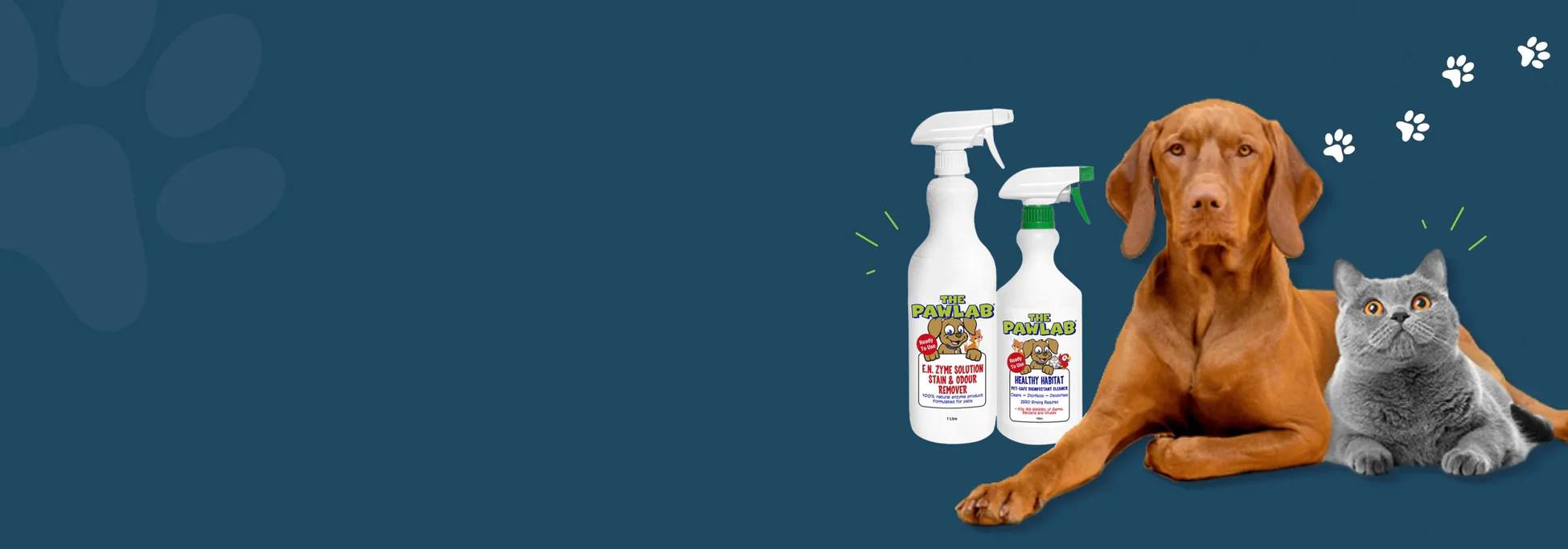Banish Pet Stains for Good
